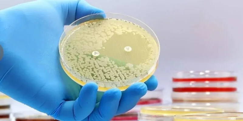 The cause of the sharp increase in antibiotic resistance rates